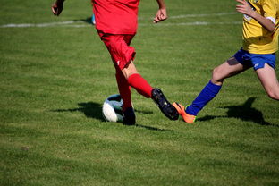 开云电竞登录-中国足球年度训练项目与技战术实战匹配，中国足球队战术